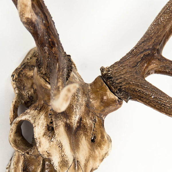 Zentique Deer Rustic Skull Wall Art Accent – Realistic Polyresin Deer Head Sculpture for Farmhouse, Cabin Decor Weathered Skull, Distressed Brown Antlers SHI018