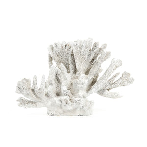 White Coral Distressed White SHI019 Zentique