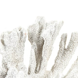 White Coral Distressed White SHI019 Zentique