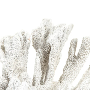 Zentique White Coral Hand-Finished Polyresin Sculpture 20"x14.5" Coastal Mantel Accent for Modern Homes SHI019