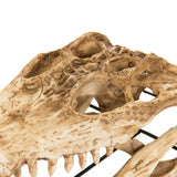 Crocodile Skull w/ Base Antique Beige Skull on Black Base SHI022 Zentique