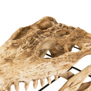Zentique Crocodile Skull Replica on Metal-Base — Antiqued Polyresin Décor, Realistic Texture, Statement Piece SHI022