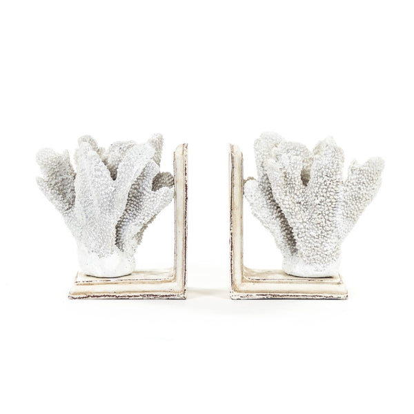 White Coral Bookends Distressed White on Distressed Off-White Base SHI024 Zentique