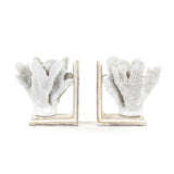 White Coral Bookends