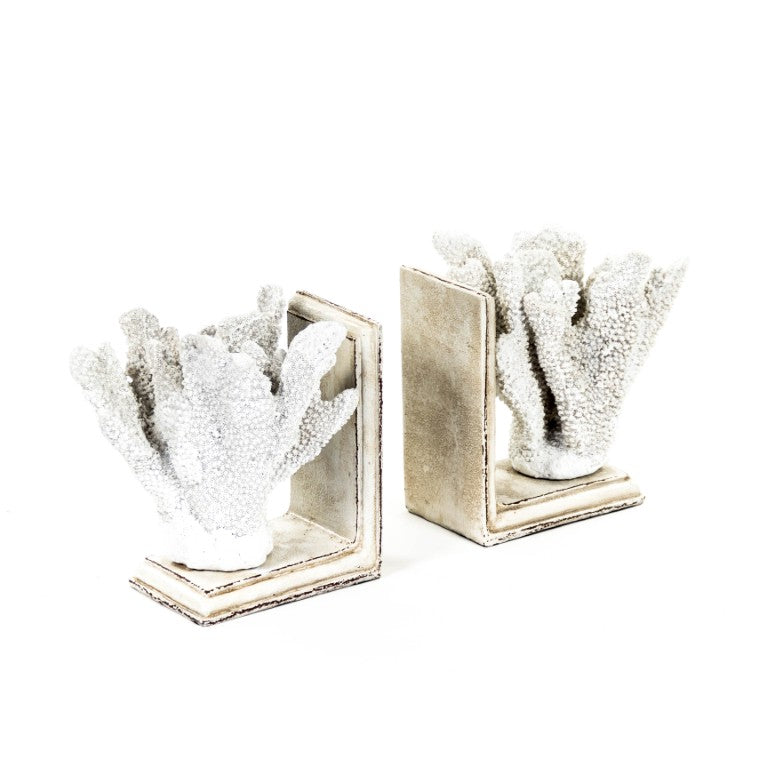 Zentique White Coral Sculptural Bookends – Realistic Polyresin Coastal Décor, Weighted Support for Shelves (2) SHI024