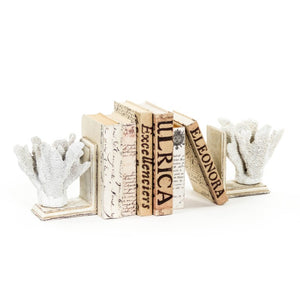 Zentique White Coral Sculptural Bookends – Realistic Polyresin Coastal Décor, Weighted Support for Shelves (2) SHI024