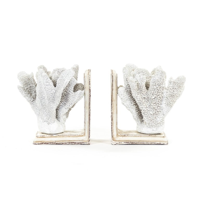 Zentique White Coral Sculptural Bookends – Realistic Polyresin Coastal Décor, Weighted Support for Shelves (2) SHI024