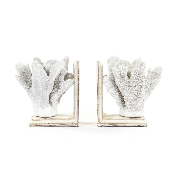 Zentique White Coral Sculptural Bookends – Realistic Polyresin Coastal Décor, Weighted Support for Shelves (2) SHI024