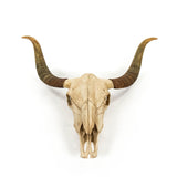 Bull Skull Wall Decor Antique Off-White SHI032 Zentique