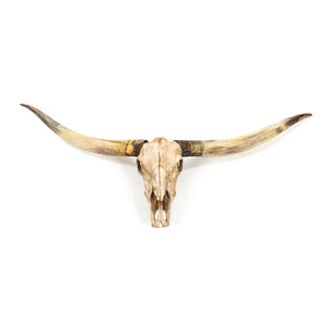 Texas Long Horn Skull Wall Decor Antique Ivory SHI035 Zentique