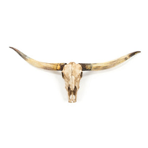 Zentique Texas Long Horn Skull Wall Decor Sculpted Polyresin Rustic Ranch Focal Art 66.5"W x 31"H SHI035