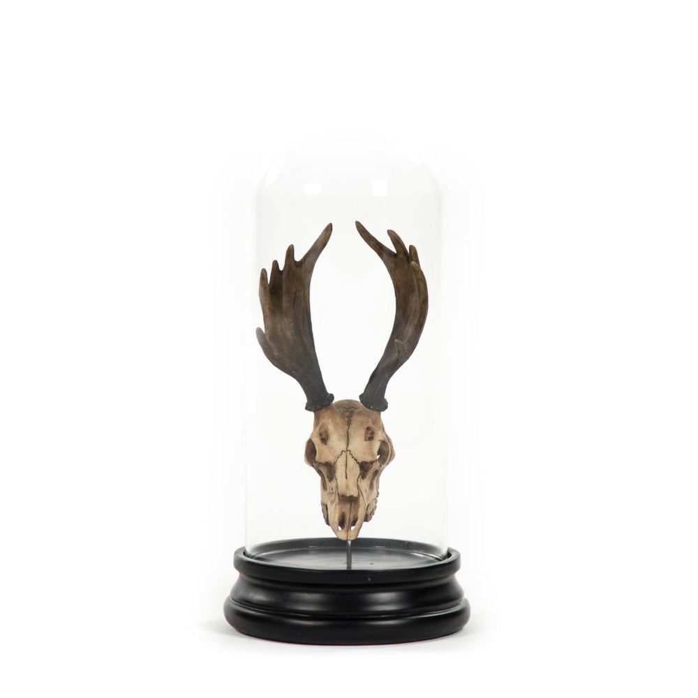 Zentique Moose Skull With Bell Glass Accent - Rustic Charm Meets Modern Elegance For Stunning Home Decor Distressed Light Brown On Black Base Resin,Glass Shi038