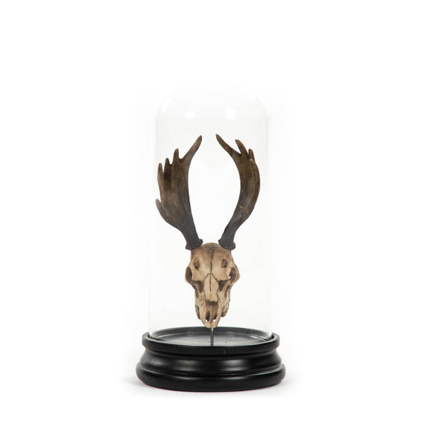 Zentique Moose Skull With Bell Glass Accent - Rustic Charm Meets Modern Elegance For Stunning Home Decor Distressed Light Brown On Black Base Resin,Glass Shi038