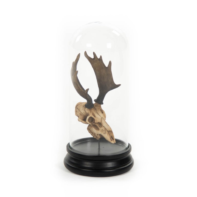 Zentique Moose Resin Skull with Bell Dome—Realistic Rustic Mantel Decor, Weighted Base, Compact 5.5x12" SHI038