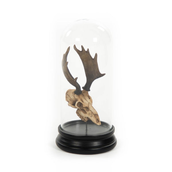 Zentique Moose Resin Skull with Bell Dome—Realistic Rustic Mantel Decor, Weighted Base, Compact 5.5x12" SHI038