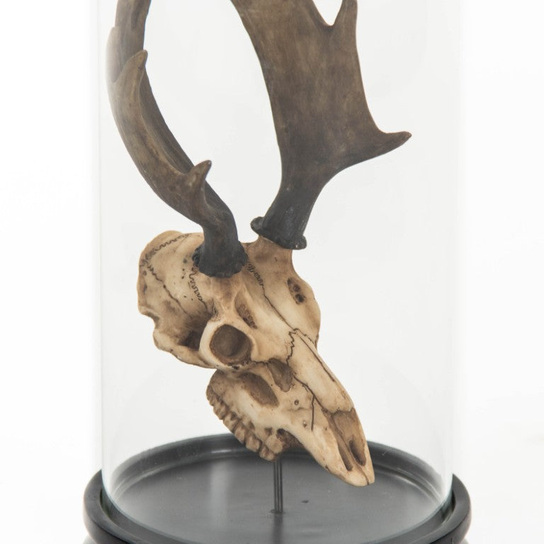 Zentique Moose Skull In Bell Glass - Thumbnail 3