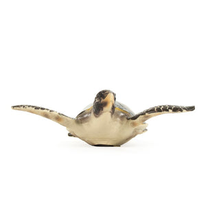 Zentique Sea Turtle Sculpture Resin Decor with Textured Shell, Hand-Finished Nautical Accent for Shelves Mantel (12"x5.5") SHI041