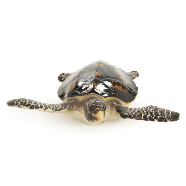 Zentique Sea Turtle Sculpture Resin Decor with Textured Shell, Hand-Finished Nautical Accent for Shelves Mantel (12"x5.5") SHI041