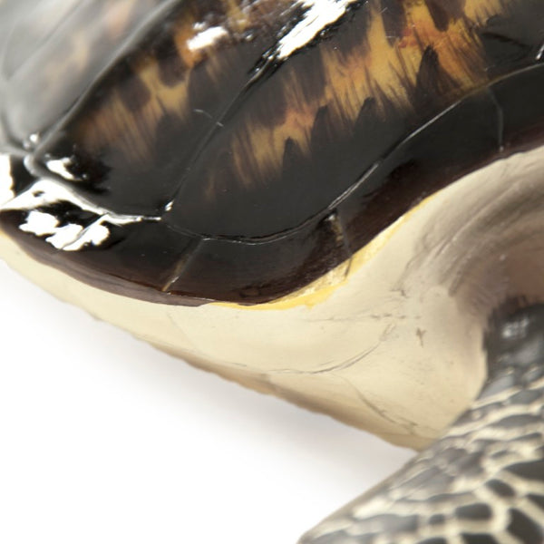 Zentique Sea Turtle Sculpture Small Resin Coastal Accent with Textured Shell Patina for Shelf Mantel Decor SHI042