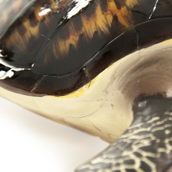 Zentique Sea Turtle Sculpture Large Resin Coastal Accent Hand-Painted Shell Texture for Tabletop Mantel Decor SHI043