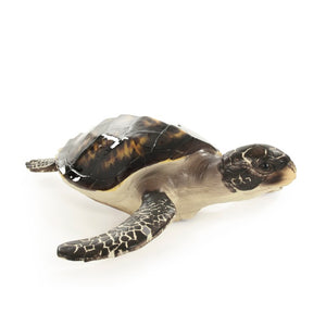 Zentique Sea Turtle Sculpture Large Resin Coastal Accent Hand-Painted Shell Texture for Tabletop Mantel Decor SHI043