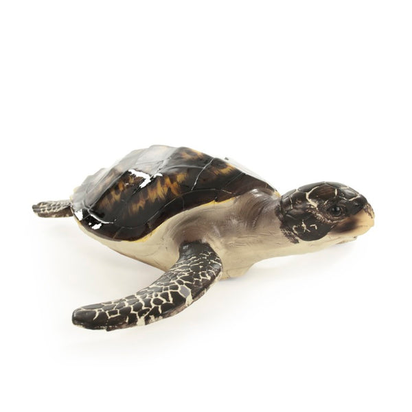Zentique Sea Turtle Sculpture Large Resin Coastal Accent Hand-Painted Shell Texture for Tabletop Mantel Decor SHI043