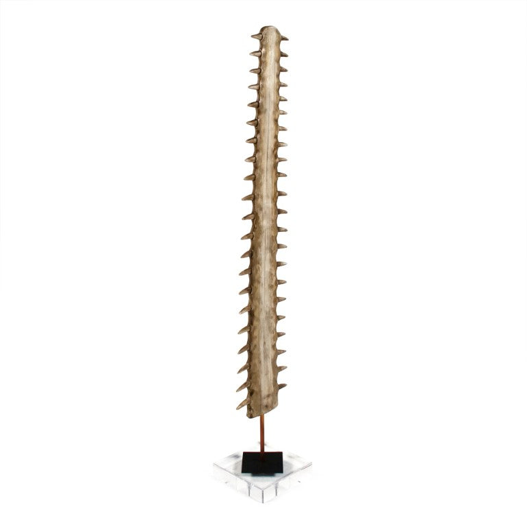 Zentique Sawtooth Clear Acrylic Stand with Resin Accents & Metal Hardware, 33" Vertical Display for Signs SHI050
