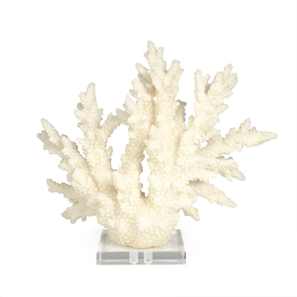 White Coral on Acrylic Base Off-White, Clear SHI053 Zentique