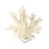 White Coral on Acrylic Base Off-White, Clear SHI053 Zentique