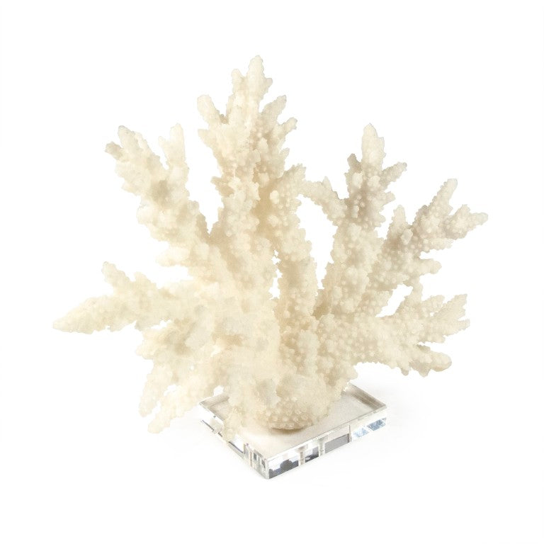 Zentique White Coral Resin Sculpture on Clear Acrylic Base — Realistic Matte Coastal Accent for Mantels Shelves (94 characters) SHI053