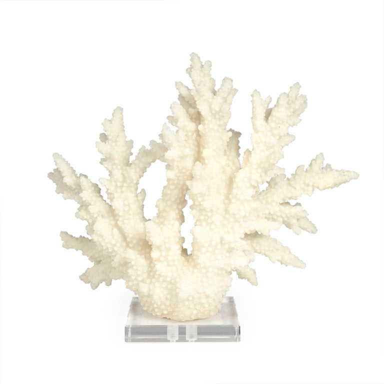 Zentique White Coral Resin Sculpture on Clear Acrylic Base — Realistic Matte Coastal Accent for Mantels Shelves (94 characters) SHI053