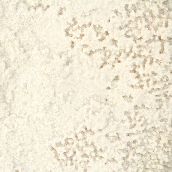 White Coral on Gold Base Off-White Resin, Distressed Gold Metal SHI055 Zentique