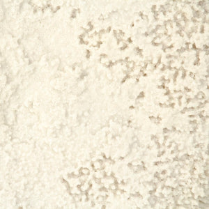 Zentique White White Coral Resin Sculpture on Gold Base — Compact Coastal Accent with Luxe Metallic Finish (95 chars) SHI055