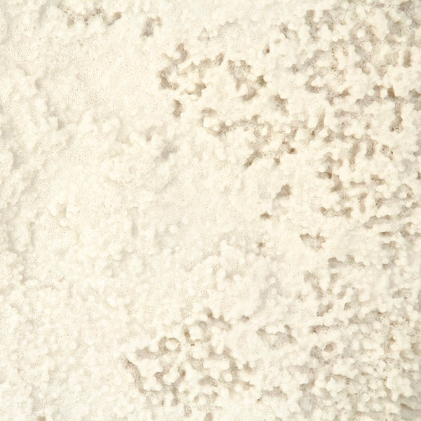 Zentique White White Coral Resin Sculpture on Gold Base — Compact Coastal Accent with Luxe Metallic Finish (95 chars) SHI055