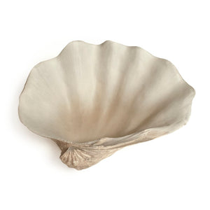 Zentique Tridacna Resin Half Shell Bowl — Coastal Decorative Catchall with Realistic Texture, 13.5" W SHI056