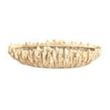 Coral Shell Bowl Distressed Beige SHI057 Zentique