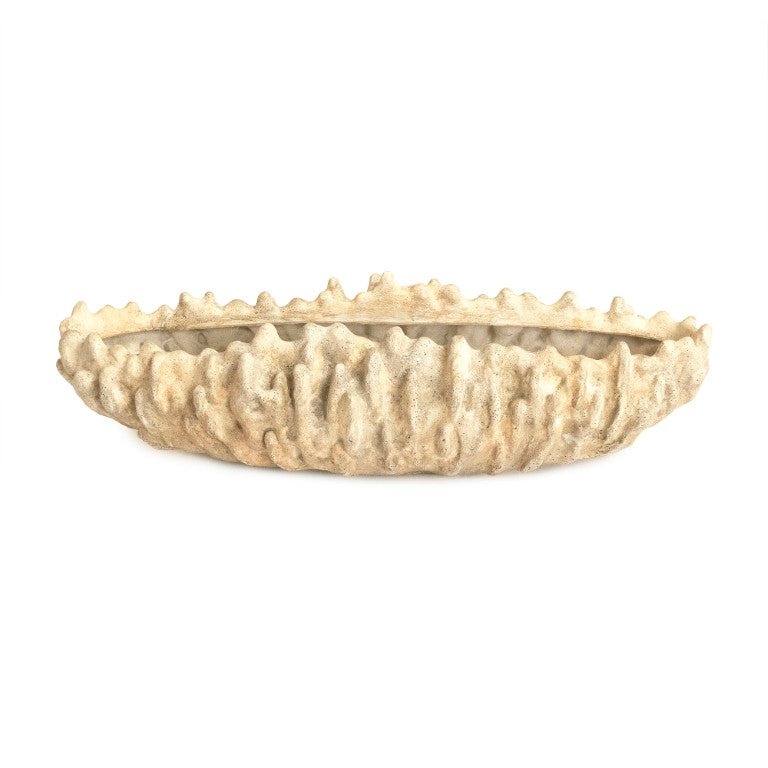 Zentique Coral Hand-Finished Resin Shell Bowl — Coastal Centerpiece, Jewelry Catchall, Realistic Texture Decor SHI057