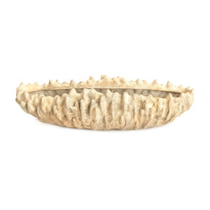Zentique Coral Hand-Finished Resin Shell Bowl — Coastal Centerpiece, Jewelry Catchall, Realistic Texture Decor SHI057