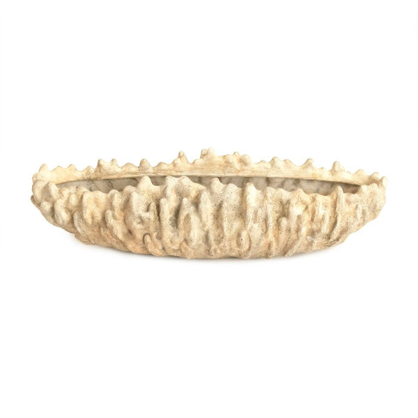 Zentique Coral Hand-Finished Resin Shell Bowl — Coastal Centerpiece, Jewelry Catchall, Realistic Texture Decor SHI057