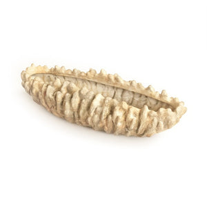 Zentique Coral Hand-Finished Resin Shell Bowl — Coastal Centerpiece, Jewelry Catchall, Realistic Texture Decor SHI057