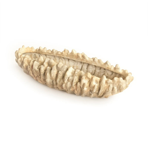 Zentique Coral Hand-Finished Resin Shell Bowl — Coastal Centerpiece, Jewelry Catchall, Realistic Texture Decor SHI057