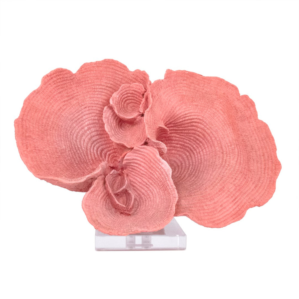 Pink Resin Coral on Acrylic Base Distressed Ombre Pink SHI065 Zentique