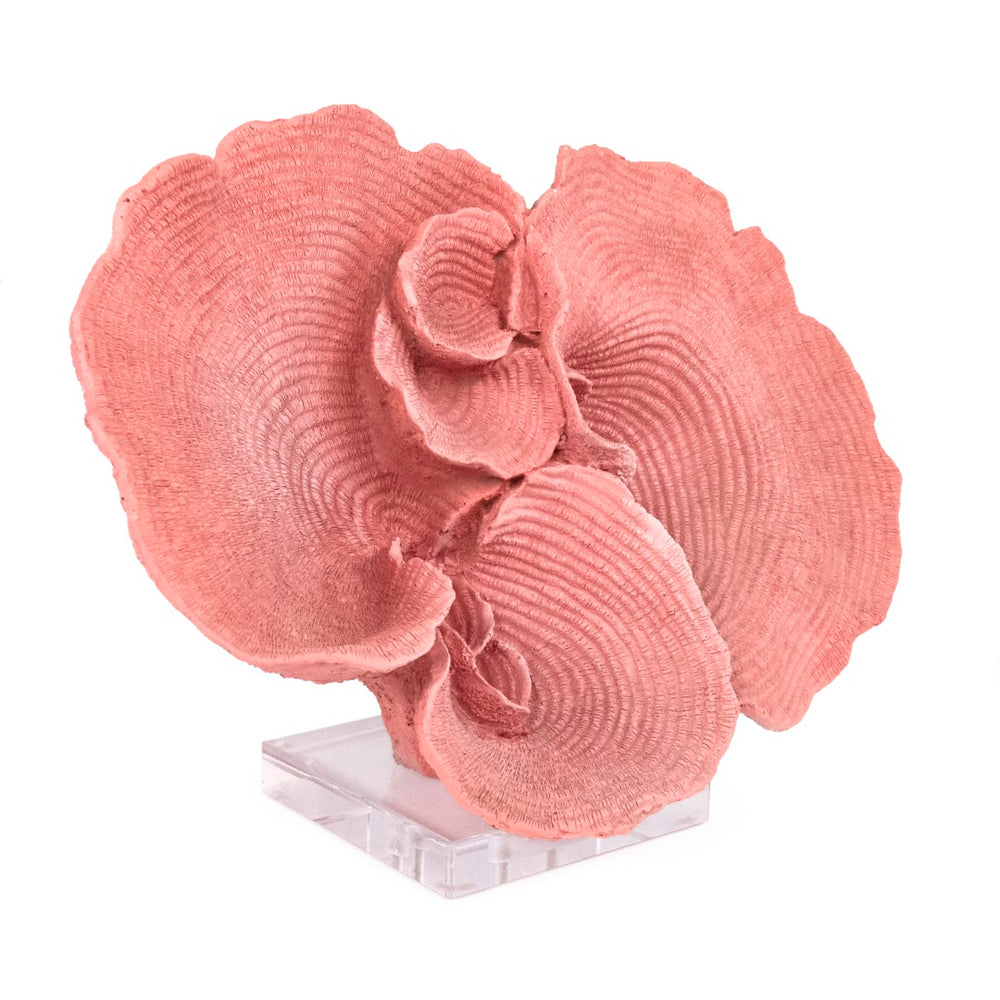 Pink Resin Coral on Acrylic Base Distressed Ombre Pink SHI065 Zentique