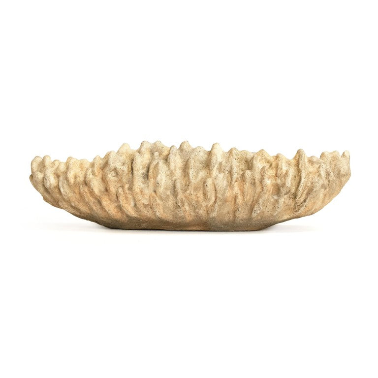 Zentique Coral Hand-Finished Resin Shell Bowl — Coastal Centerpiece, Jewelry Catchall, Realistic Texture Decor SHI057