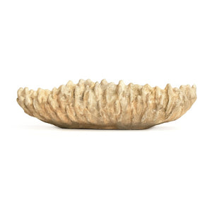 Zentique Coral Hand-Finished Resin Shell Bowl — Coastal Centerpiece, Jewelry Catchall, Realistic Texture Decor SHI057