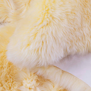 Safavieh Sheep Sheepskin Area Rug - Luxurious Texture In Elegant Steel Blue For Timeless Home Decor Style Champagne Sheep Skin Shs121h-5