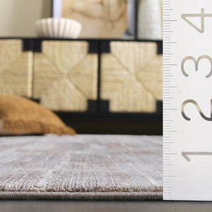 Safavieh Signature Minimalist Beige Grey Area Rug — Low-Profile Power-Loomed Design For Modern Living Spaces 10'-0" x 14'-0" SIG712B-10