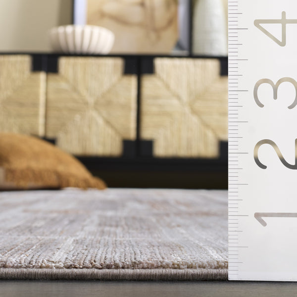 Safavieh Signature Minimalist Beige Grey Area Rug — Low-Profile Power-Loomed Design For Modern Living Spaces 10'-0" x 14'-0" SIG712B-10