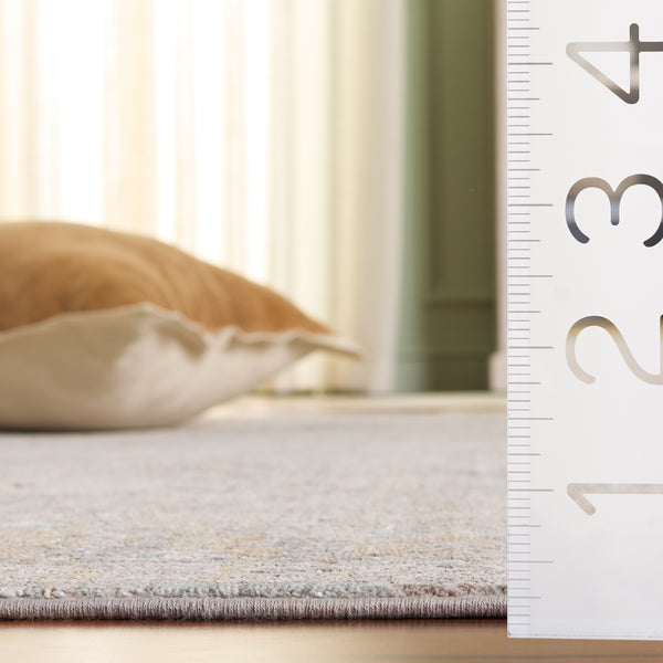 Safavieh Signature Elegant Turkish Dark Grey Beige Area Rug — Low Pile, Durable Power-Loomed Comfort 8X10 9'-0" x 12'-0" SIG724G-9