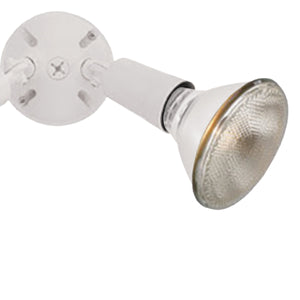 Thomas Lighting Daley Matte Metal Two Light Outdoor Wall Sconce for Entryways and Covered Patios White 6 inches SL49468